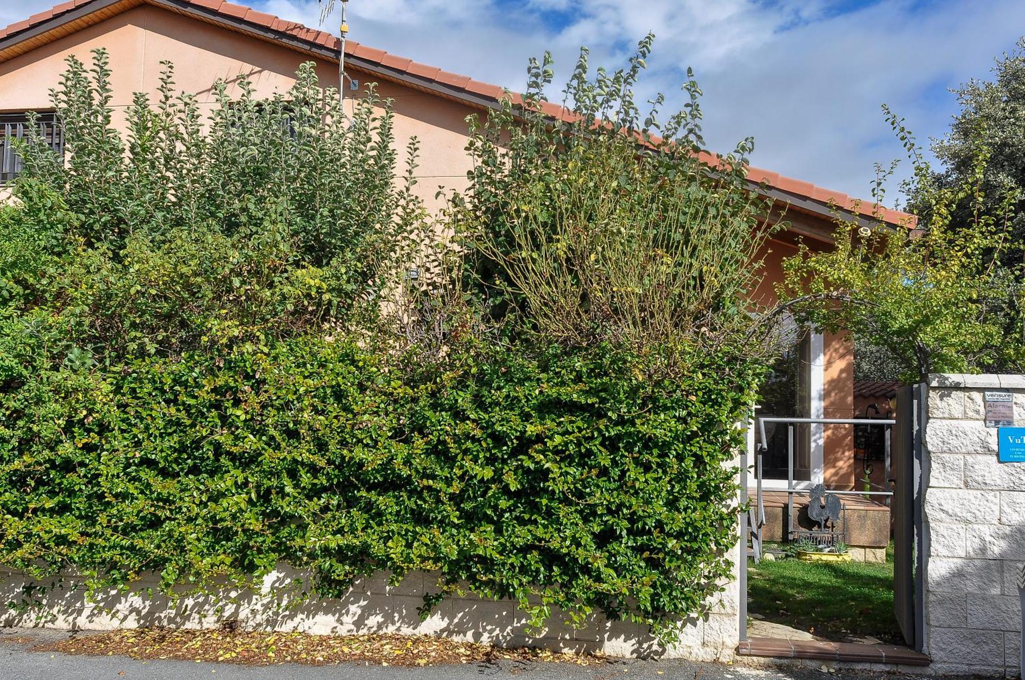 Acogedora Casa Con Verde Jardin By Cabana Rentals Ituero y Lama Екстериор снимка